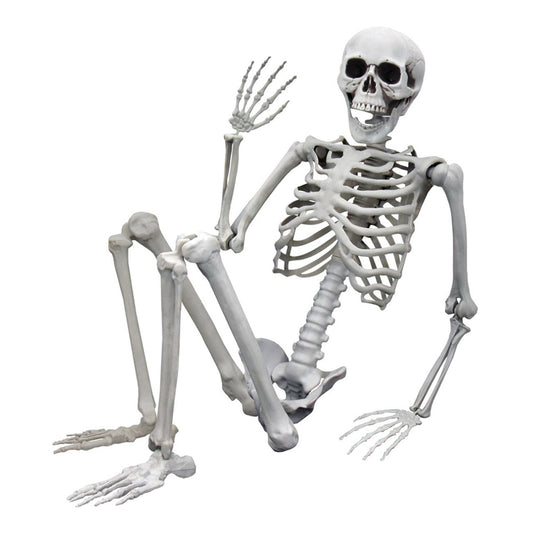 Verklighetstroget Skelett 170 cm